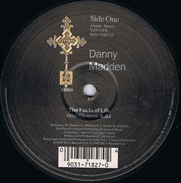 Danny Madden - The Facts Of Life (Presenting The Remix)