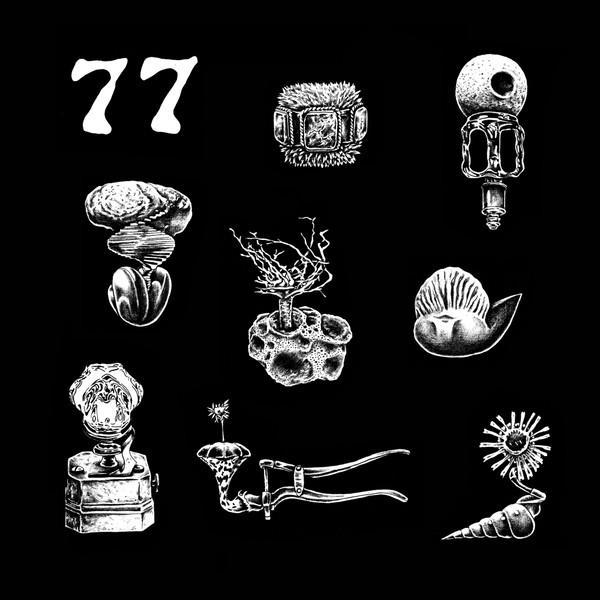 Hypnobirds - 77: A Brief Landing On The Earth's Surface