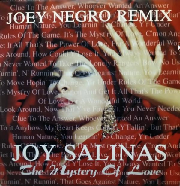 Joy Salinas - The Mystery Of Love (Joey Negro Remix)