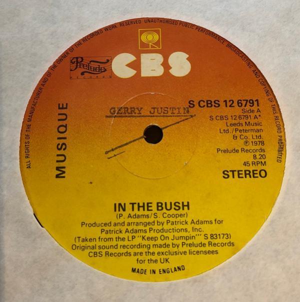 Musique - In The Bush