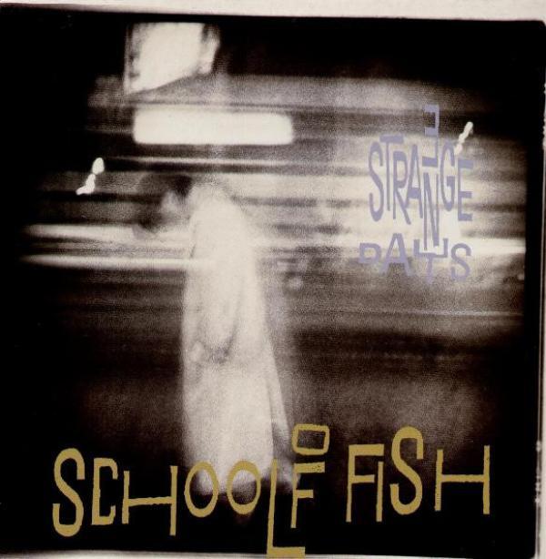 School Of Fish - 3 Strange Days