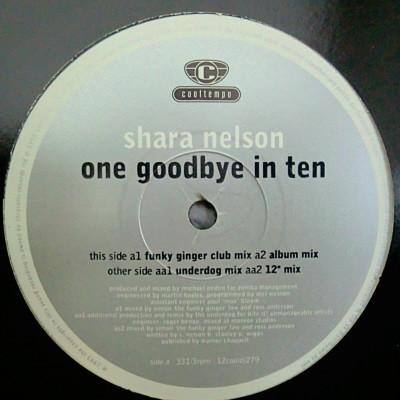 Shara Nelson - One Goodbye In Ten