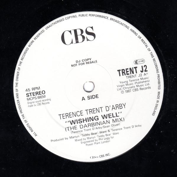Terence Trent D'Arby - Wishing Well (The Darbinian Mix)