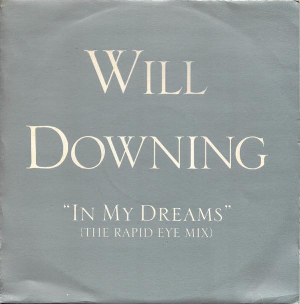Will Downing - In My Dreams